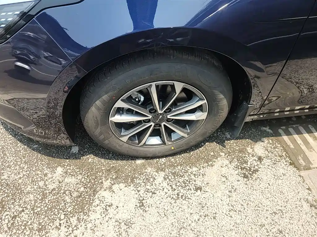 BYD Destroyer 05 2024 Glory Edition DM-i 55KM Luxury фото 23