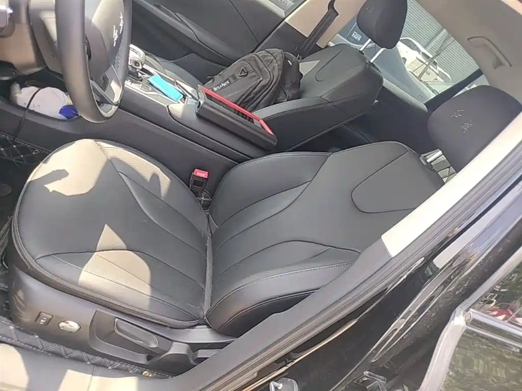Hongqi E-QM5 2021 Charging T3 Version 5-seater фото 15