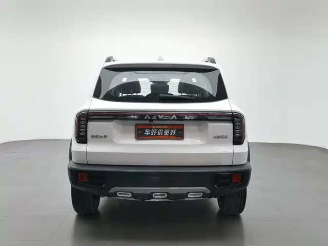 Haval Big Dog 2024 Model 1.5T DCT Labrador Edition — фото 4