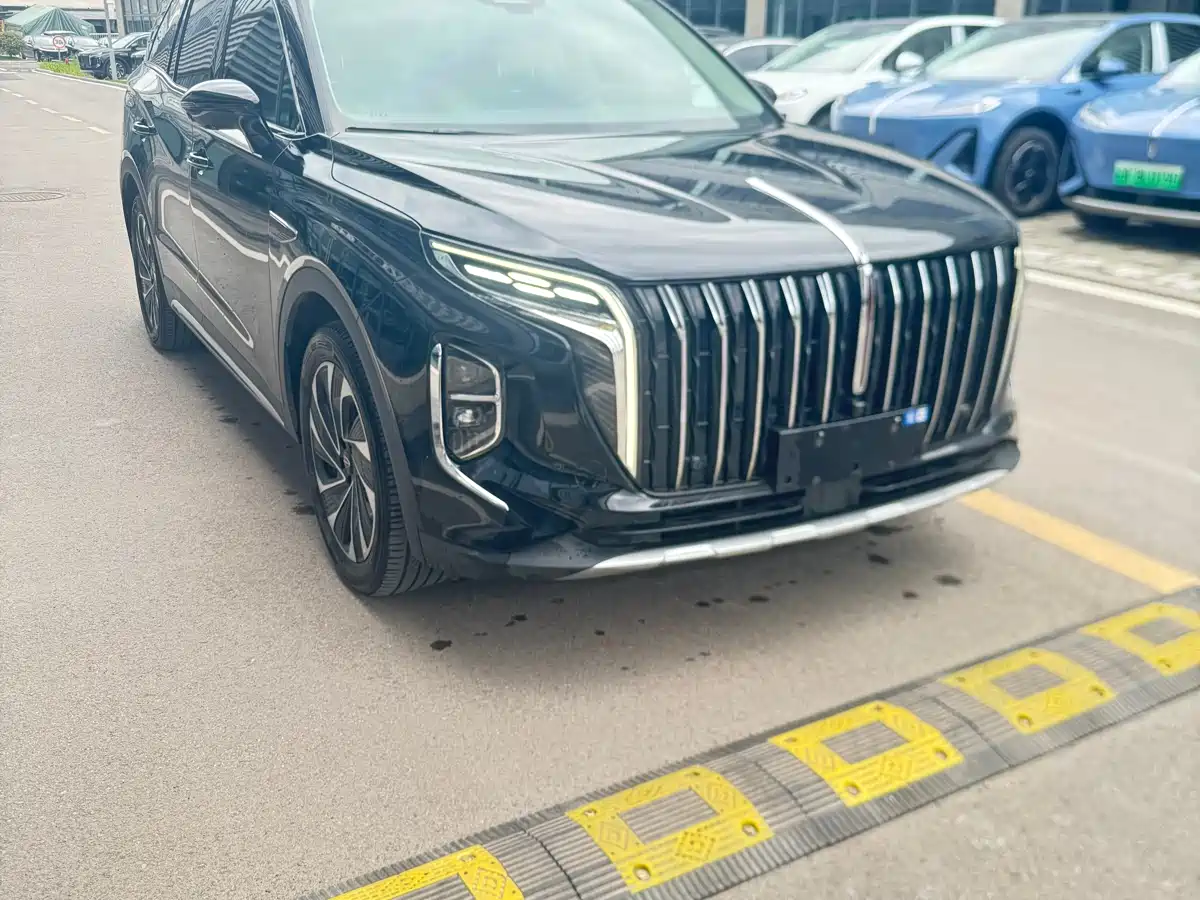Hongqi HS7 PHEV 2024 2.0T PHEV 4WD Flagship Edition 6-seater фото 3