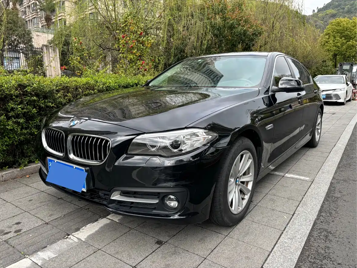 BMW 5 Series 2014 520Li Elegance