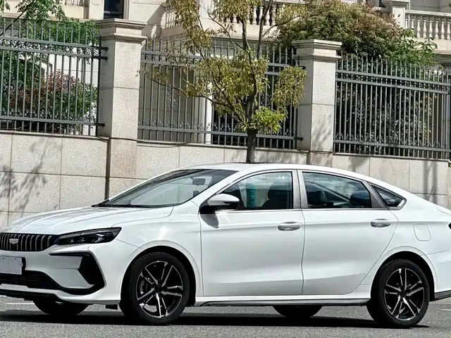 GEELY AUTOMOBILE BINRUI