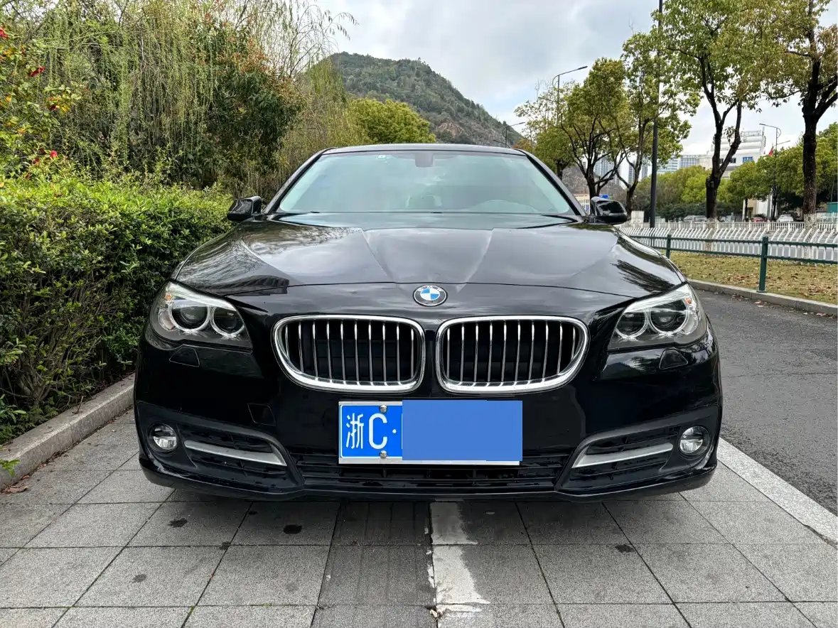 BMW 5 Series 2014 520Li Elegance фото 2