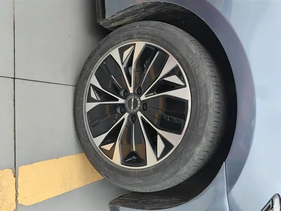 BYD Seal 2023 Champion Edition 550km Premium фото 6