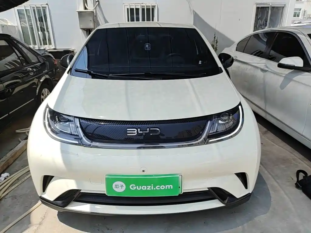 BYD Dolphin 2026 2025 420km Freedom Edition