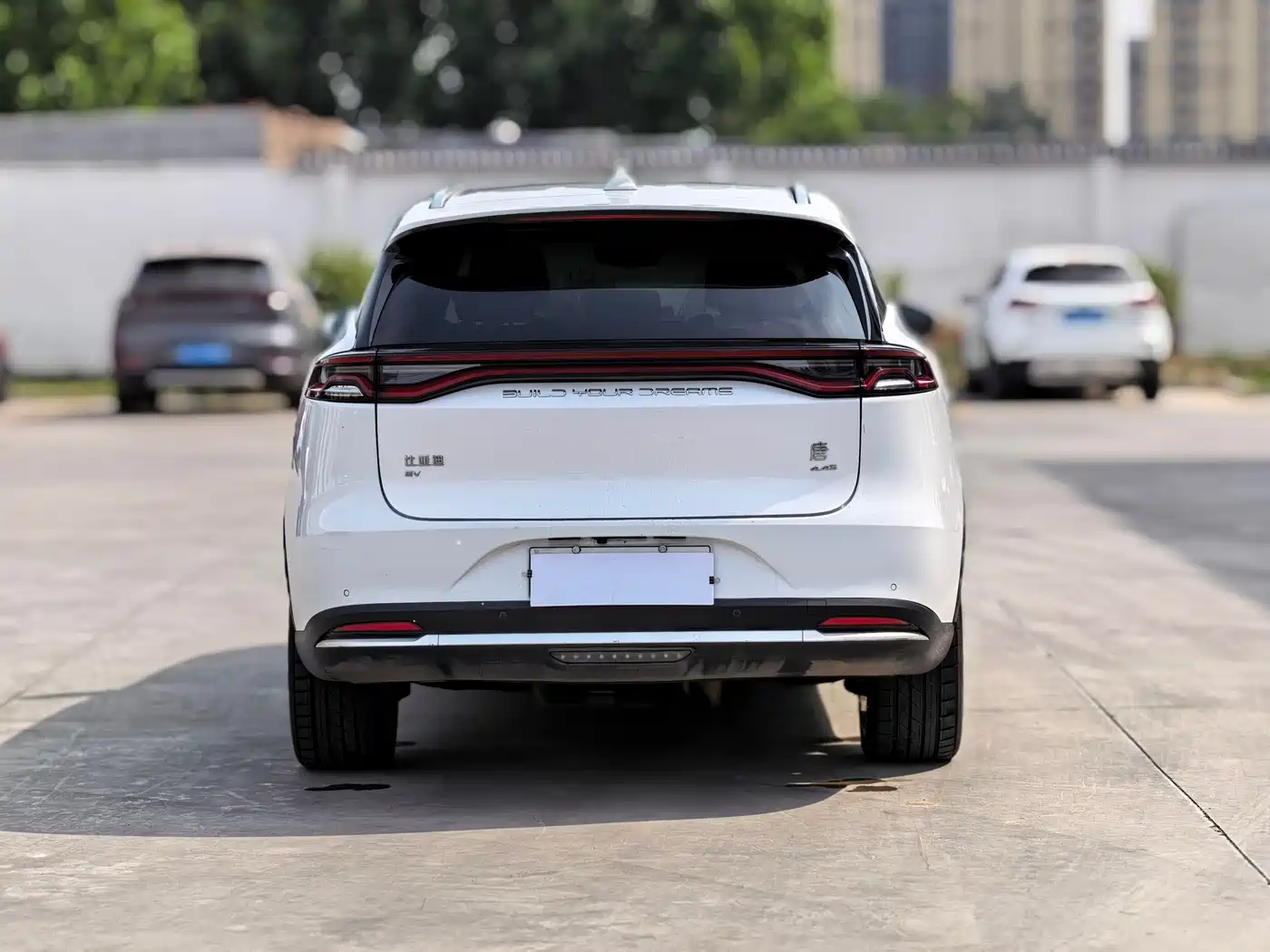 BYD Tang New Energy 2021 EV AWD High Performance Genesis Flagship фото 6
