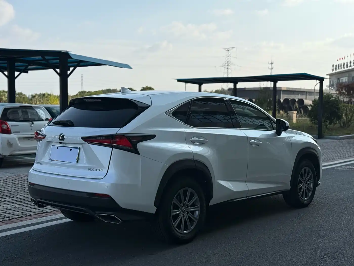 Lexus NX 2018 Model 300 FWD Fengxing Edition фото 7