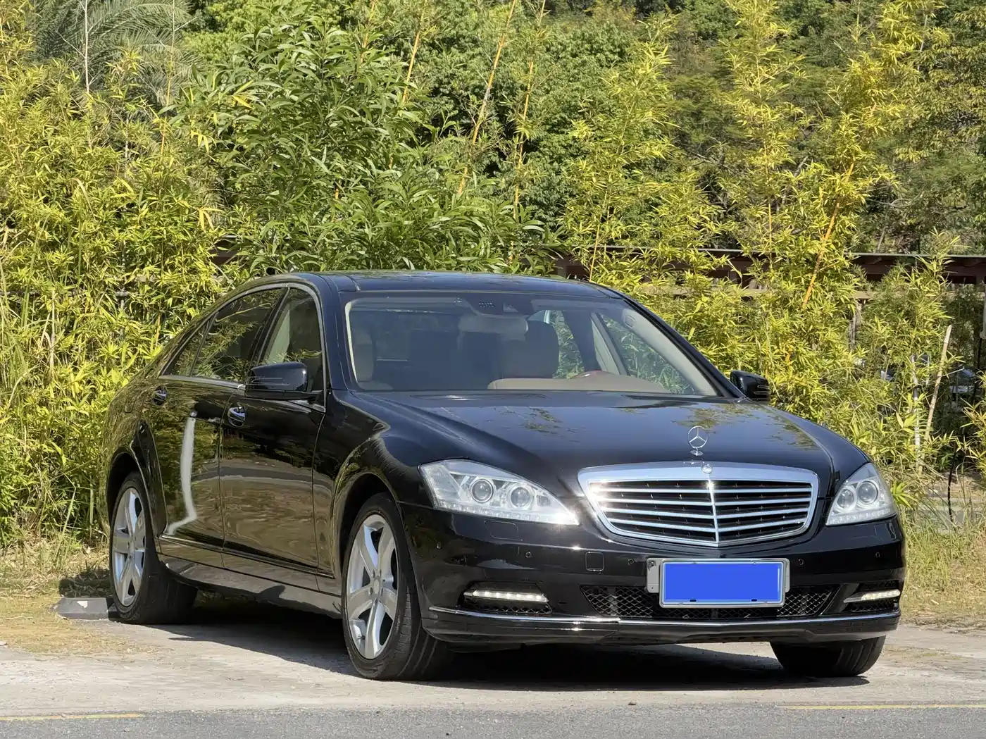 Mercedes-Benz S-Class 2012 S 300 L Luxury Grand Edition фото 2