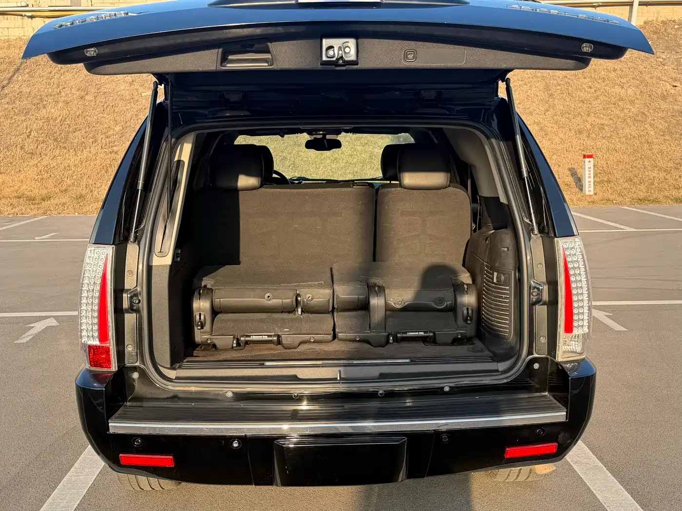 Cadillac Escalade 2010 6.0 Hybrid фото 19