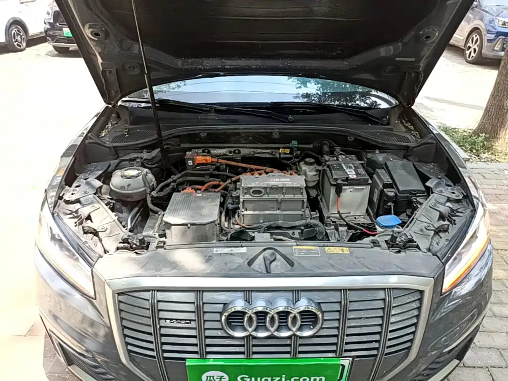 Audi Q2L e-tron 2021 2019 Q2L e-tron Pure Electric Smart Enjoyment