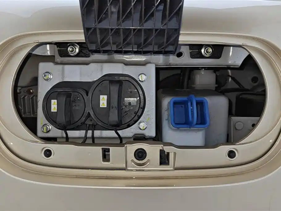 BESTUNE PENTIUM PONY