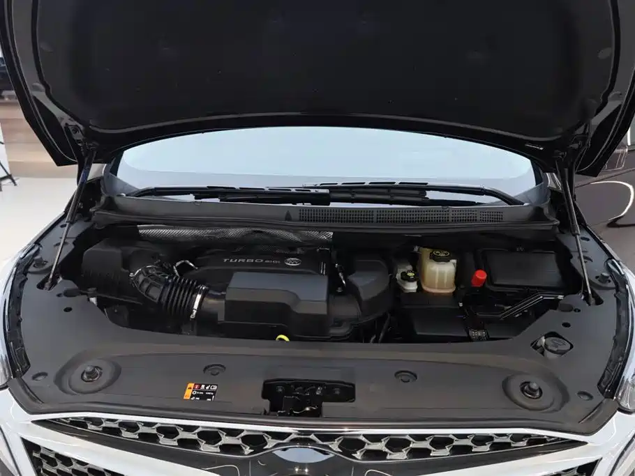 Buick GL8 2022 Avenir Avia 6-Seater Virtue Edition фото 11