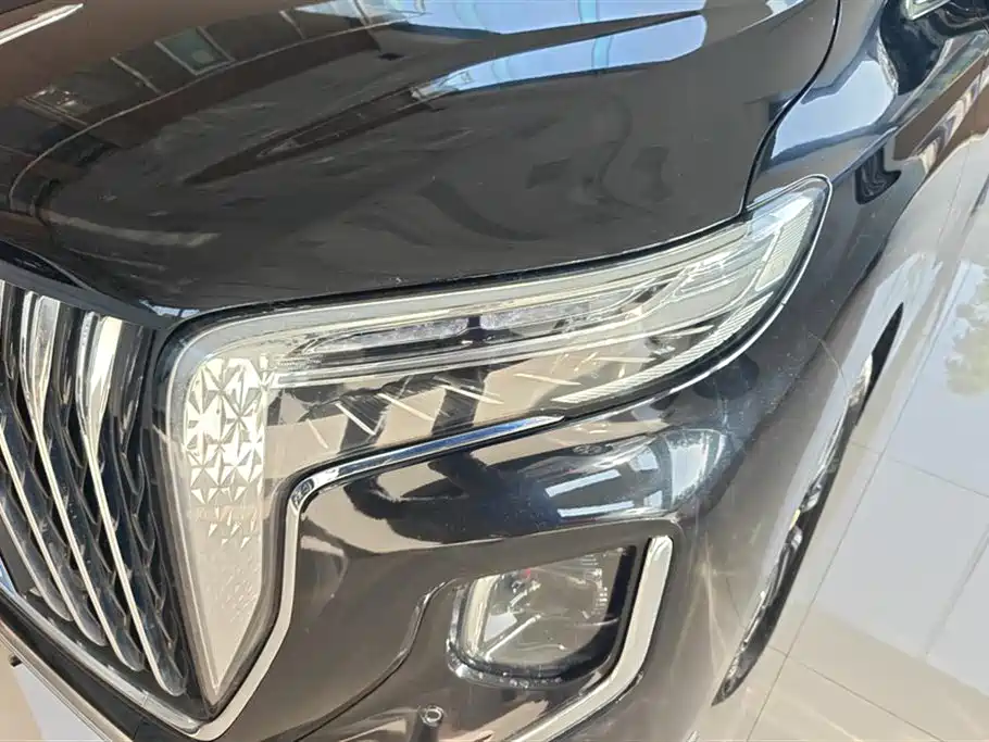 Hongqi HQ9 2023 2.0T Smart Connect Flag Rhyme Edition фото 5