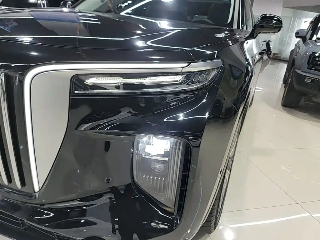 Hongqi E-HS9 2022 660km Qi Chang Edition (6-seater) фото 24