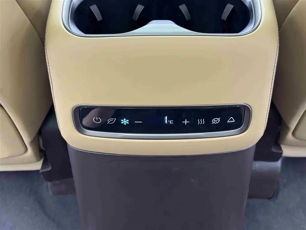 Denza D9 2025 Model DM-i Smart Drive Edition 1020 AWD Flagship фото 13