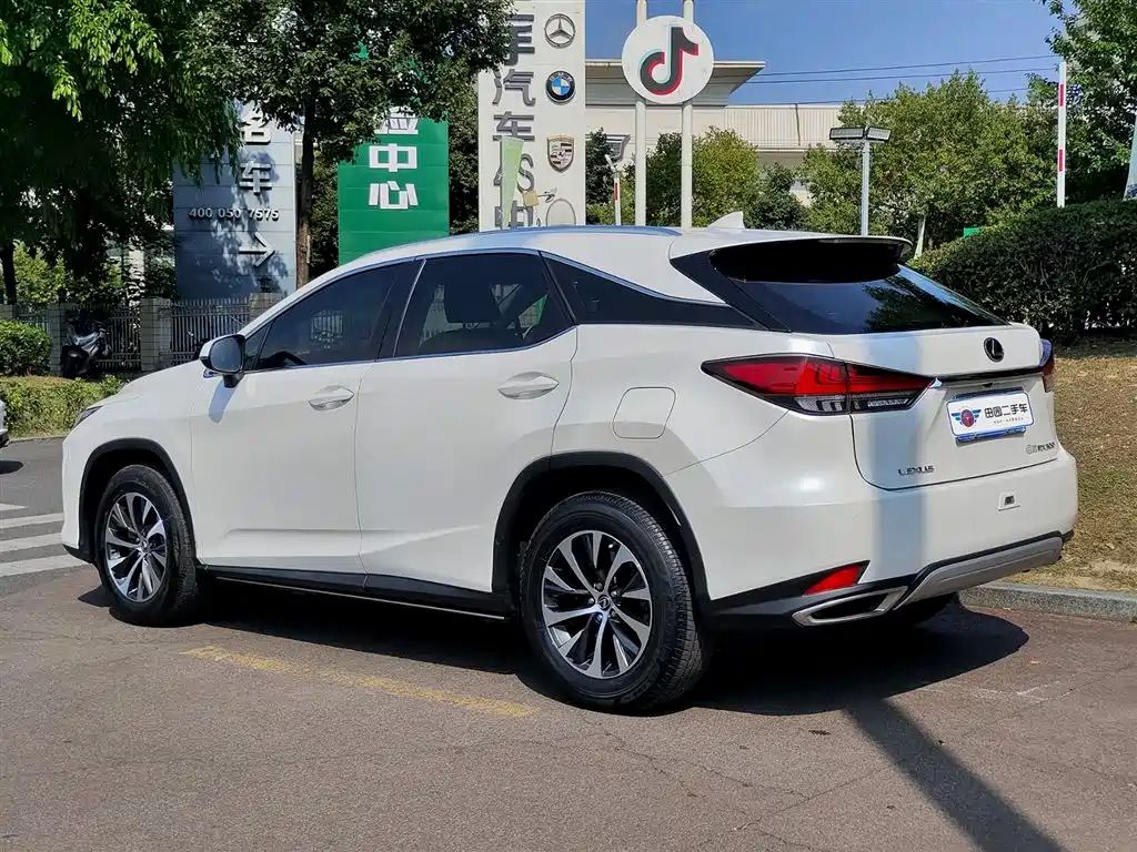 Lexus RX 2020 Facelift 300 2WD Elite Edition фото 4
