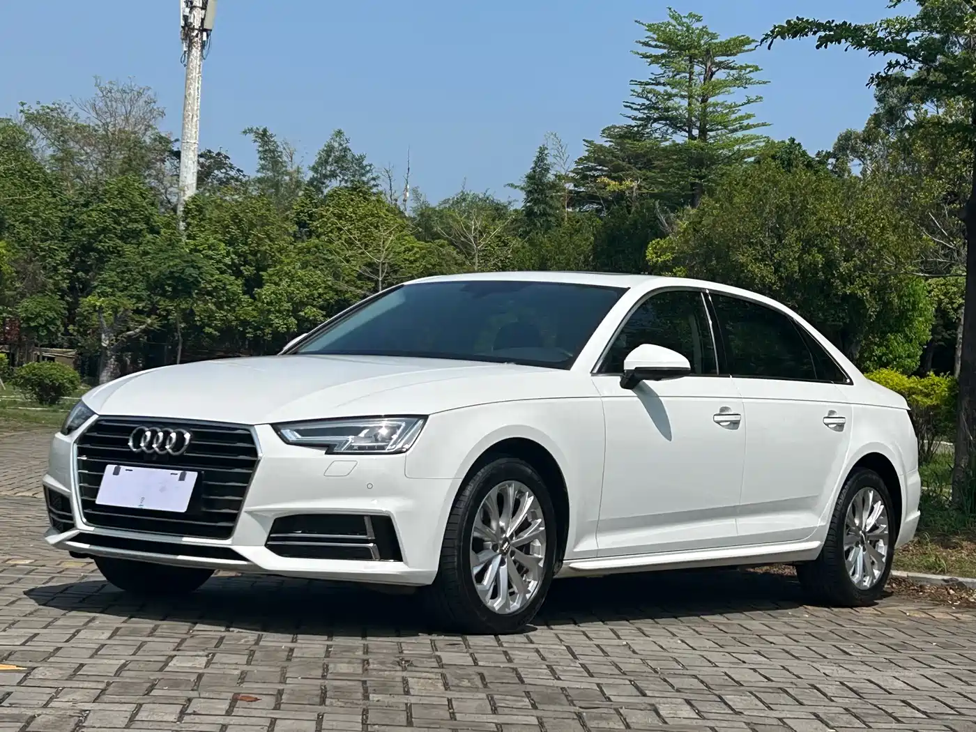 Audi A4L 2019 40 TFSI Progressive (China VI)