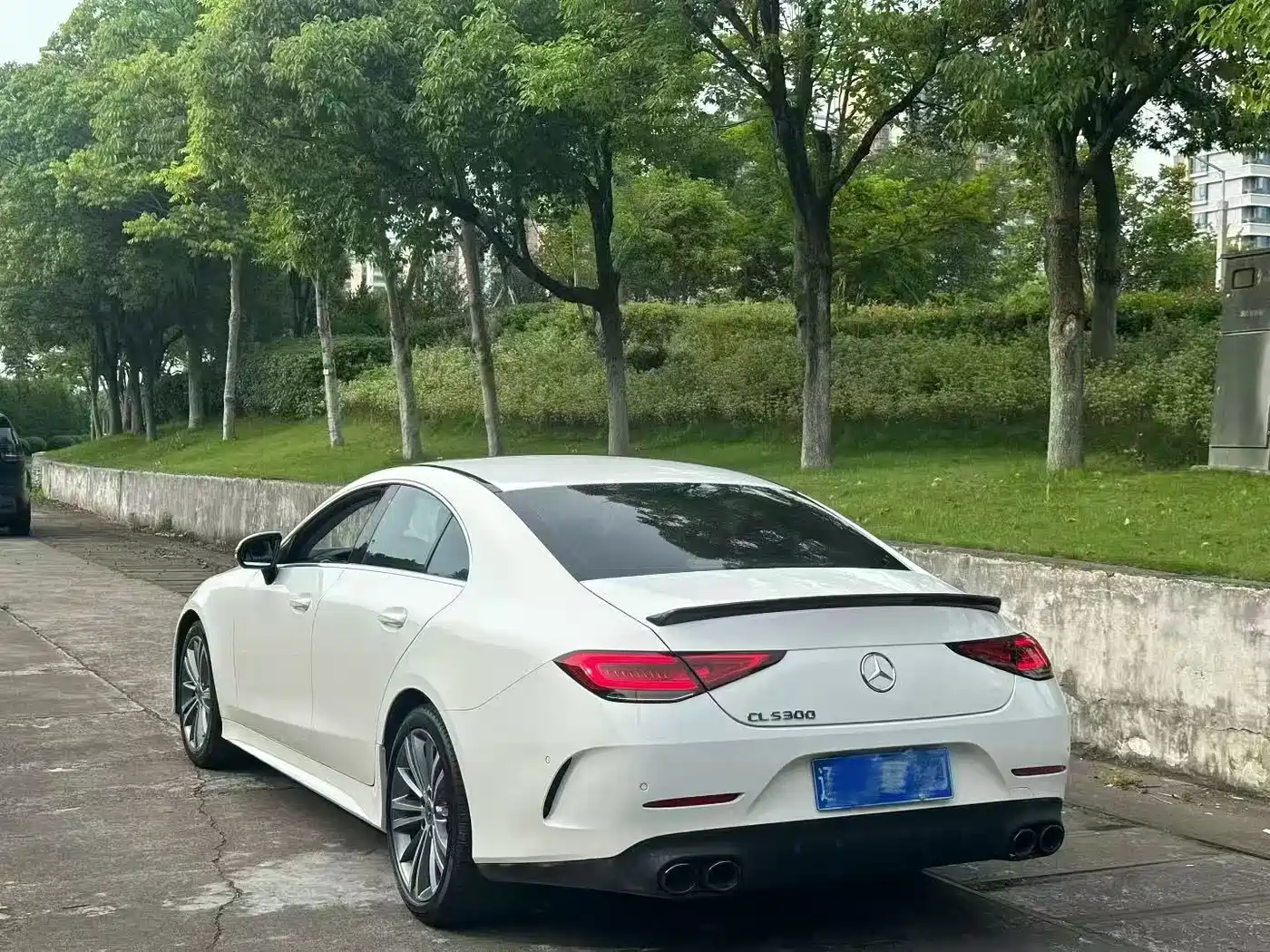 Mercedes-Benz CLS 2021 CLS 300 Luxury фото 7