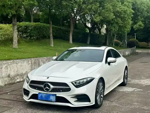 Mercedes-Benz CLS 2021 CLS 300 Luxury