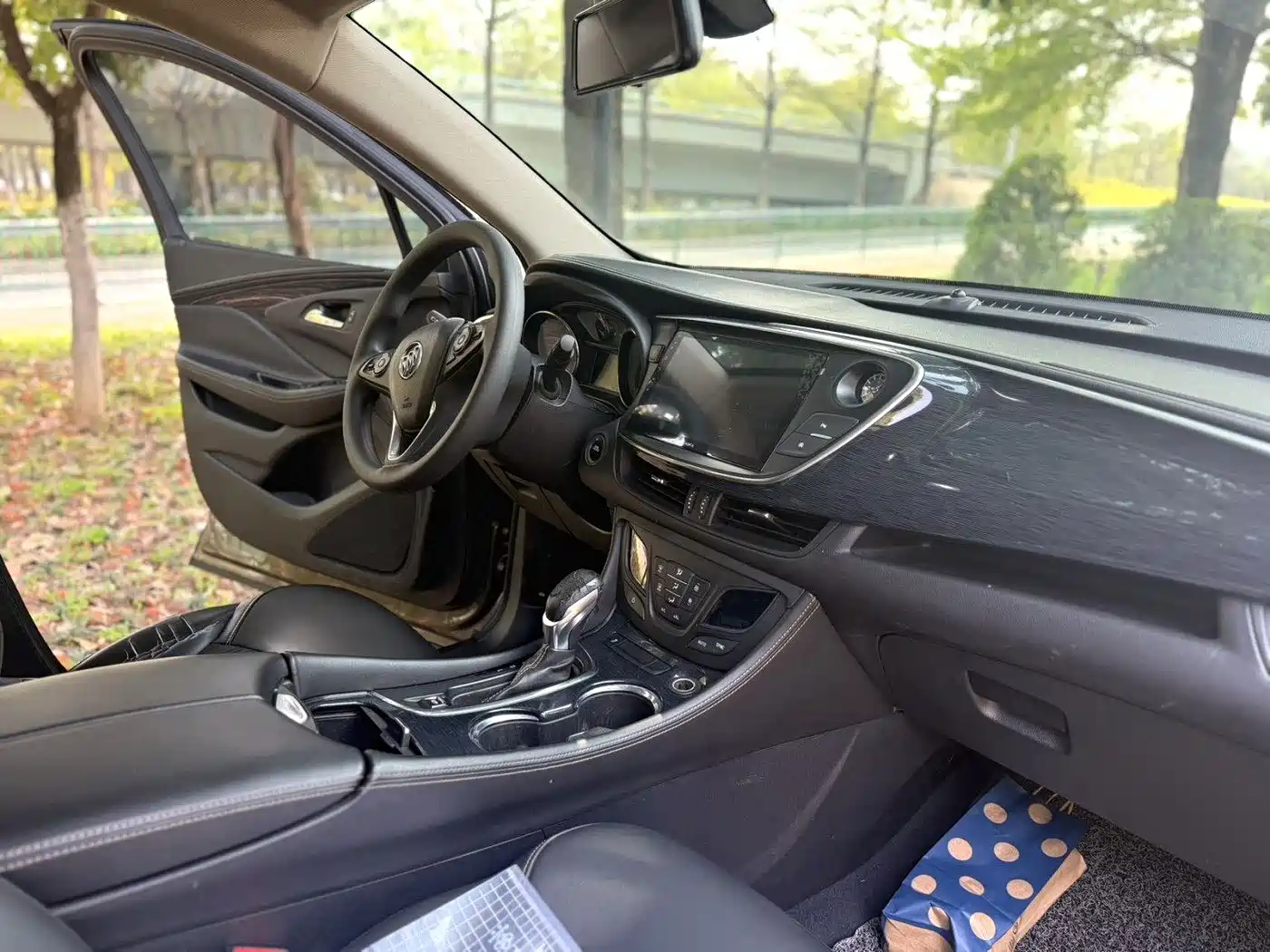 Buick Envision Plus 2017 20T FWD Premium фото 9