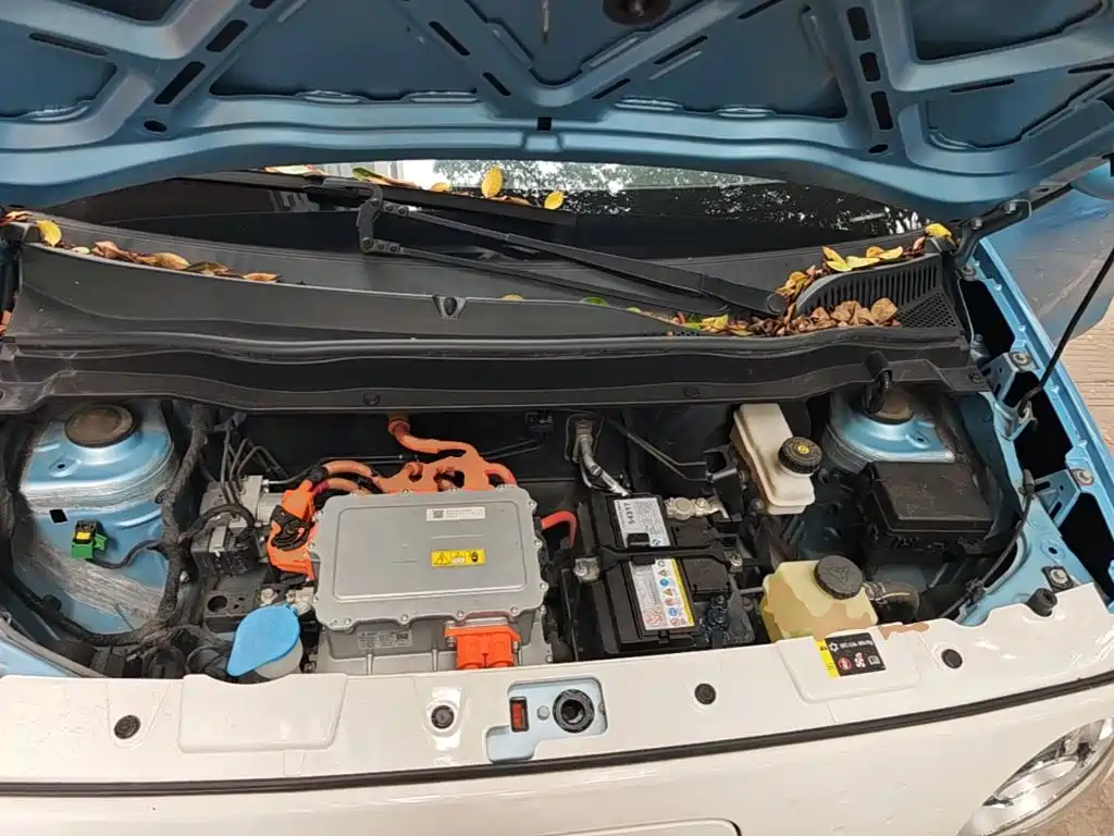 Ora Black Cat 2021 2021 351km Standard Model