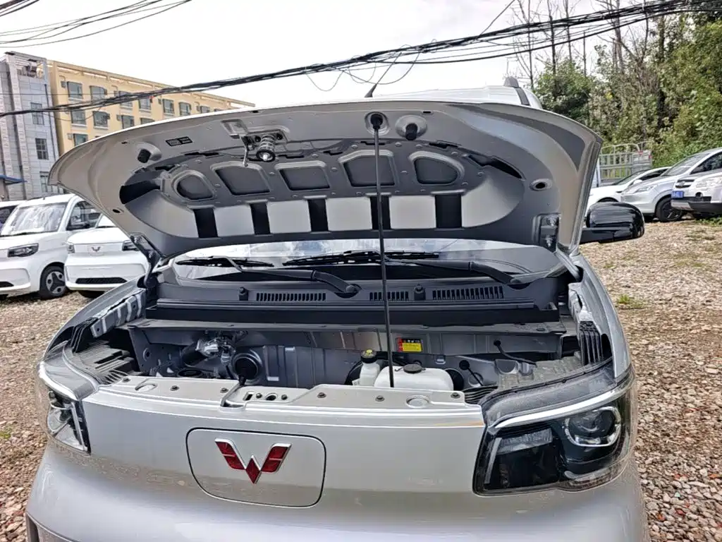 Wuling Motors Wuling Zhiguang NEV 2026 2025 Model 305km Base Version