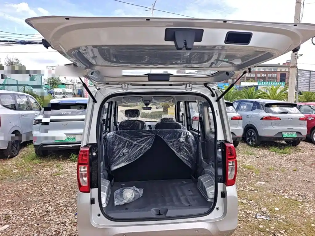 Wuling Motors Wuling Zhiguang NEV 2026 2025 Model 305km Base Version