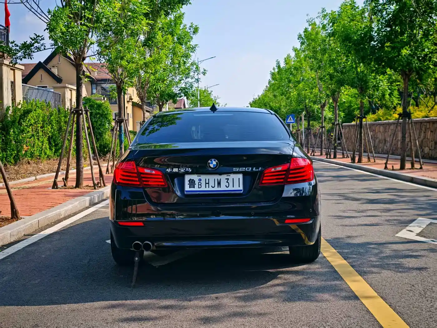BMW 5 Series 2014 520Li Elegance фото 5