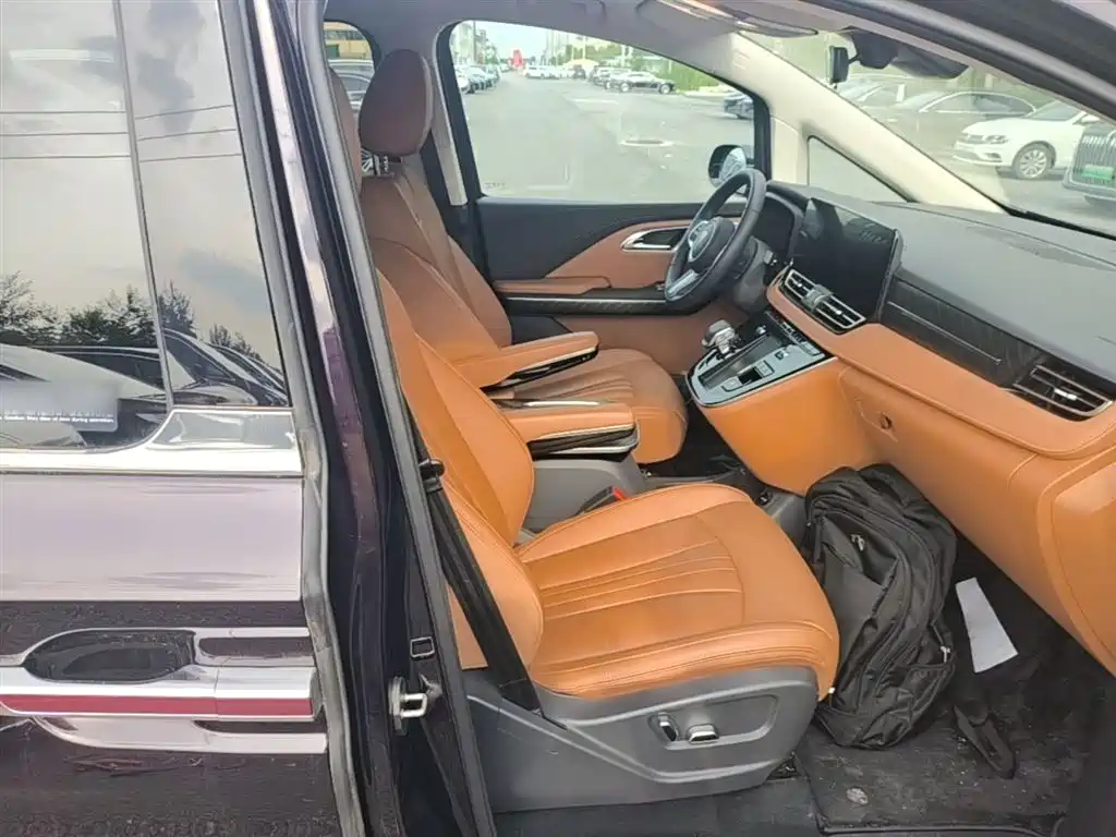 Hongqi HQ9 PHEV 2024 Model 2.0T AWD Business Edition фото 25