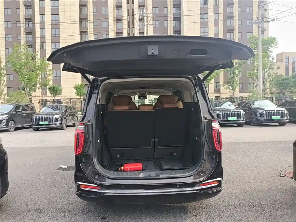 Hongqi HQ9 PHEV 2024 Model 2.0T AWD Business Edition фото 19