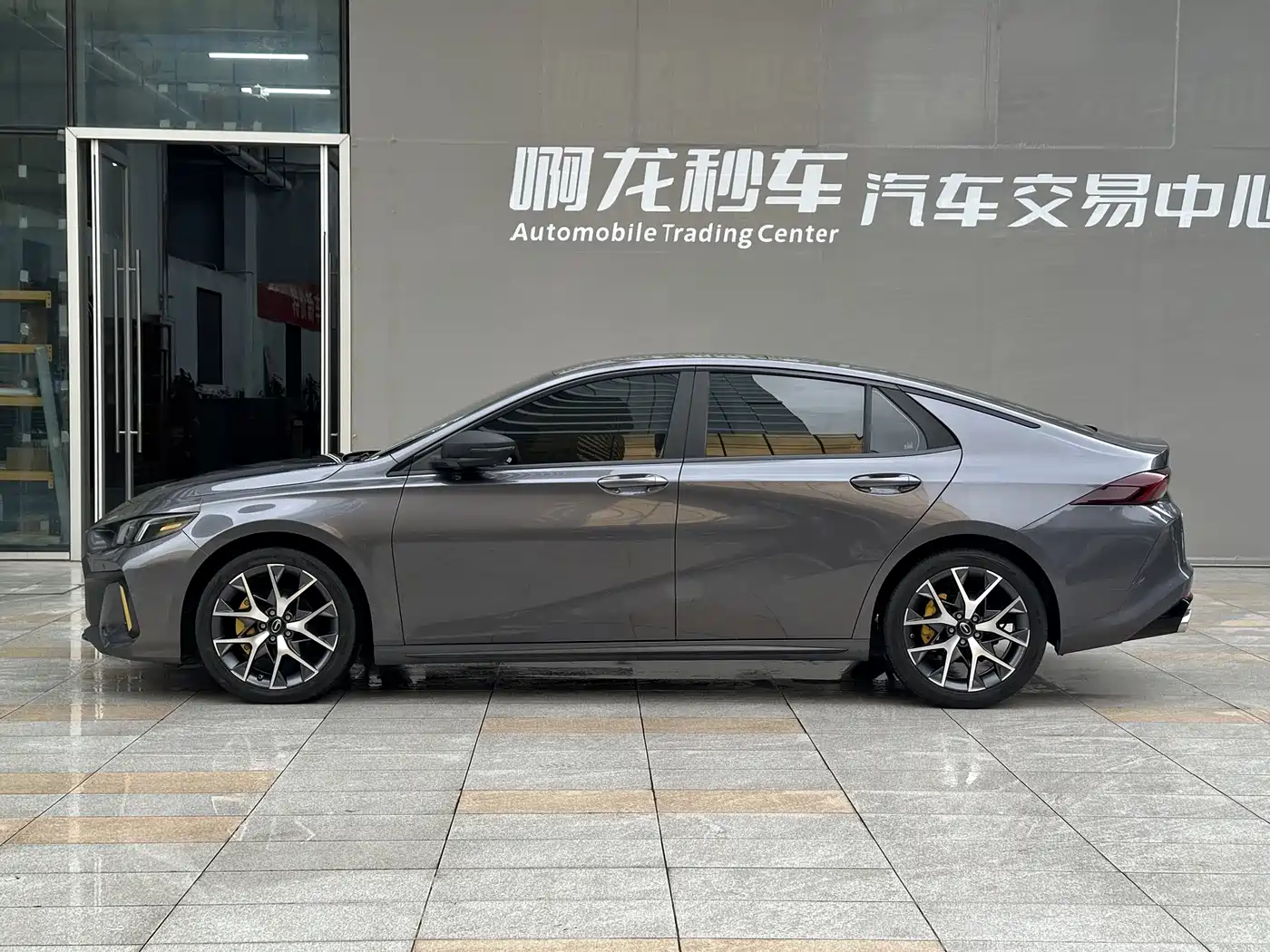 GAC SHADOW LEOPARD