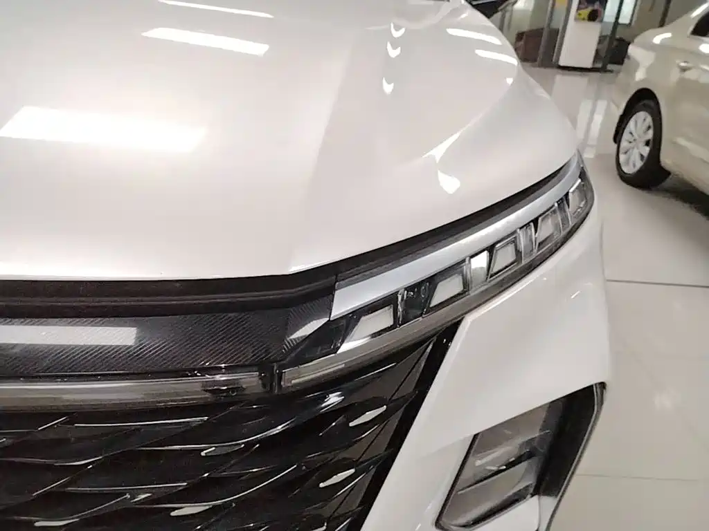 Roewe RX5 MAX 2022 2022 1.5T Auto Promising Premium Edition
