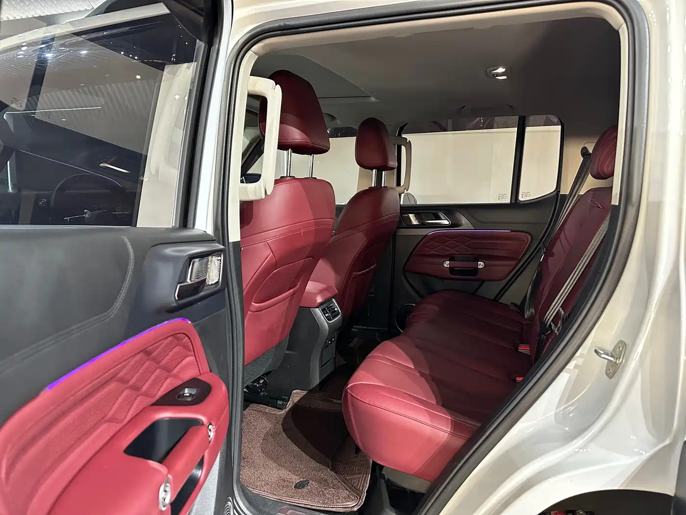 Tank 300 2023 Off-Road Edition 2.0T Conqueror фото 11