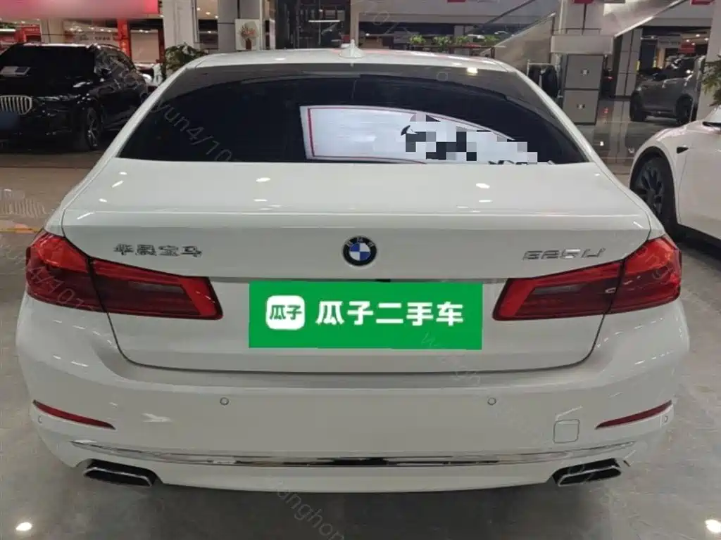 BMW 5 Series 2020 525Li Luxury Package фото 6