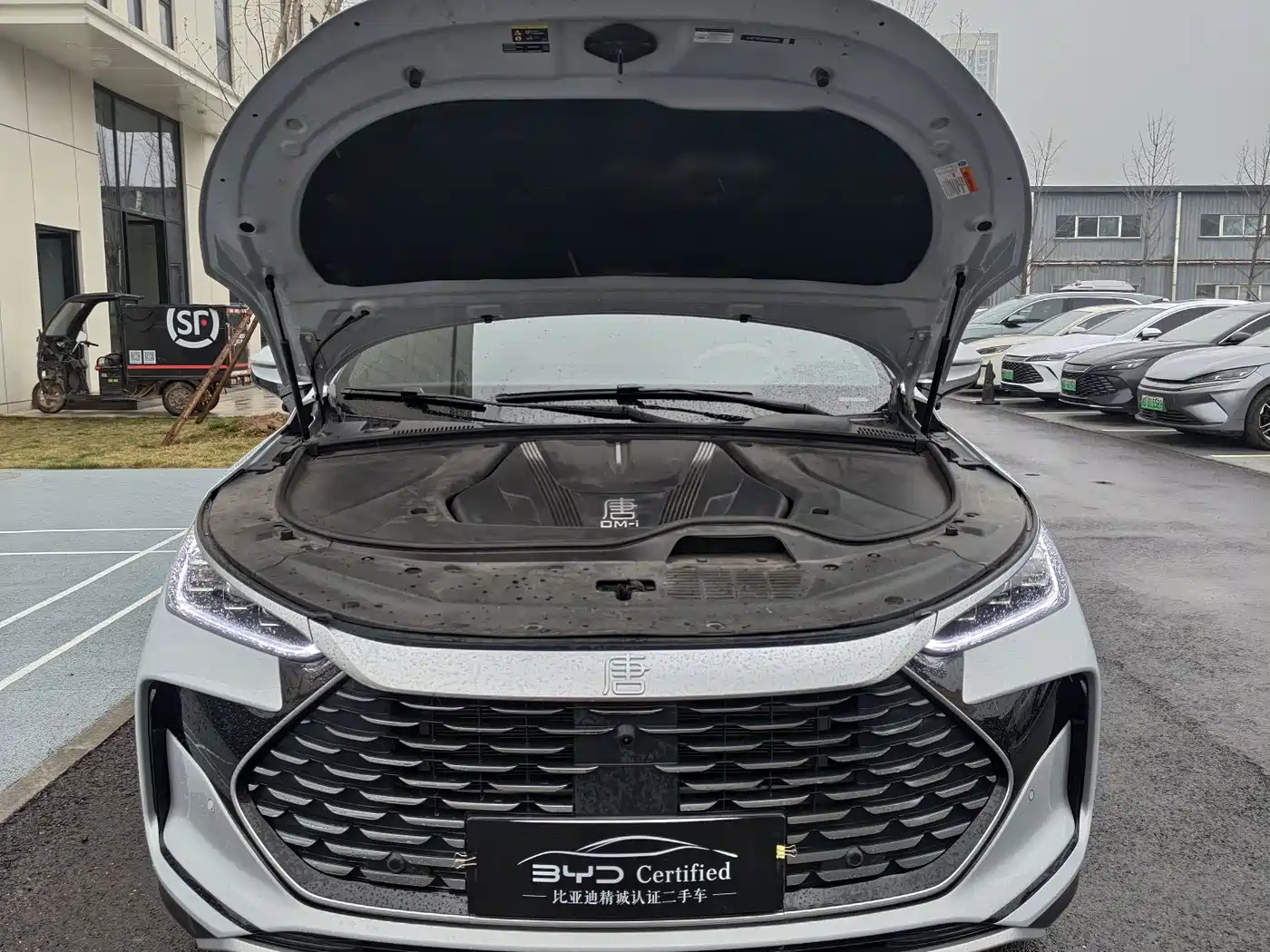 BYD Tang New Energy 2025 Smart Driving Edition DM-i 115KM Honor фото 2
