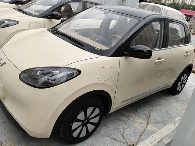 WULING WULING BINGGUO