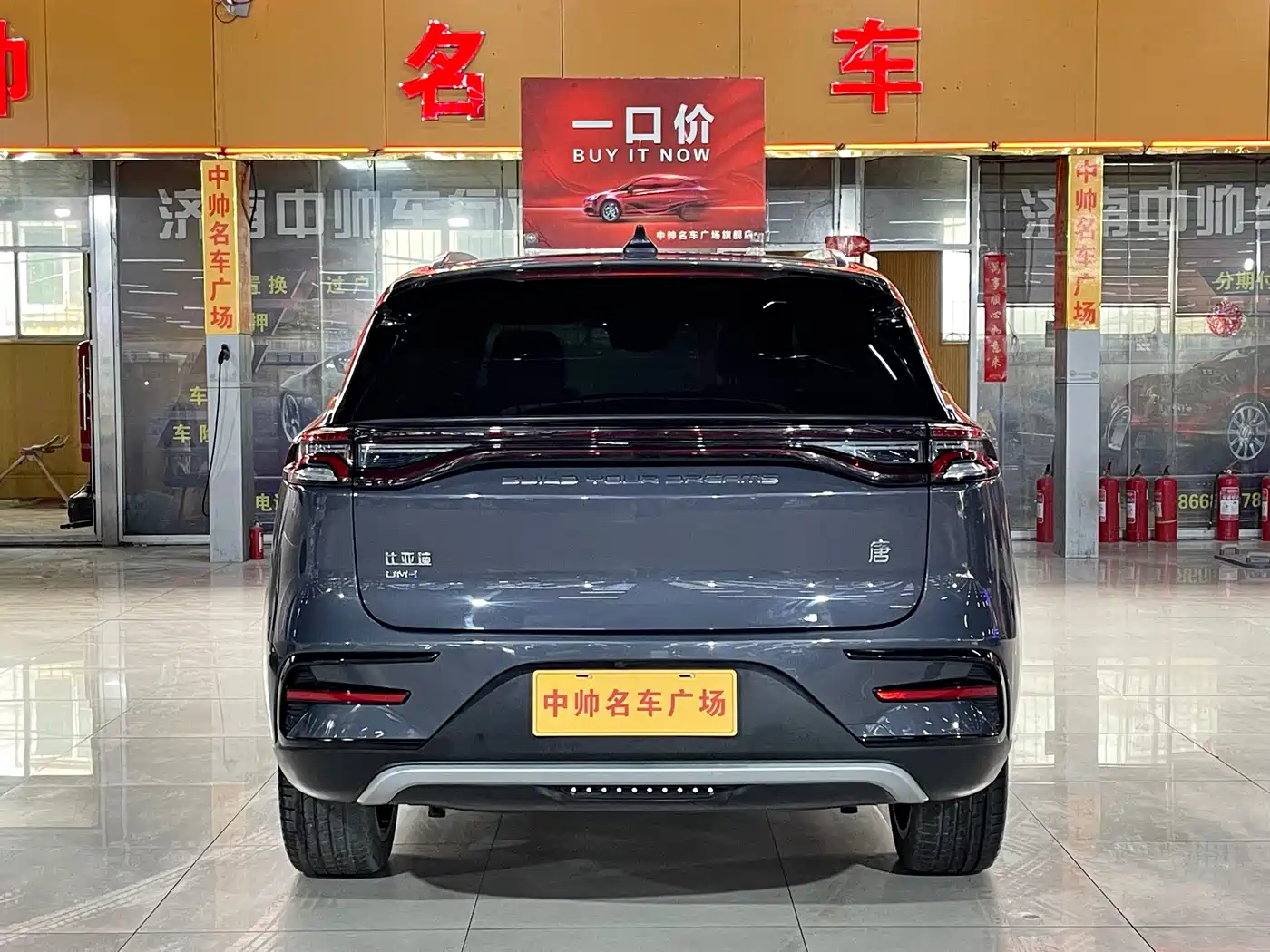 BYD Tang New Energy 2021 DM-i 112KM Premium фото 5
