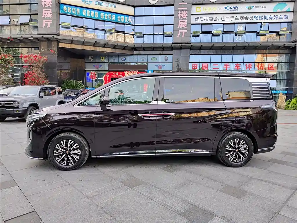 Hongqi HQ9 PHEV 2024 Model 2.0T AWD Luxury Edition фото 3