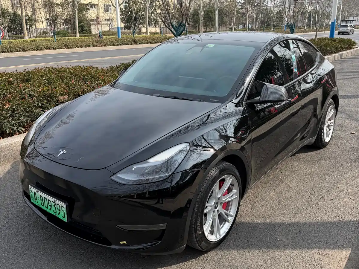 TESLA MODEL Y