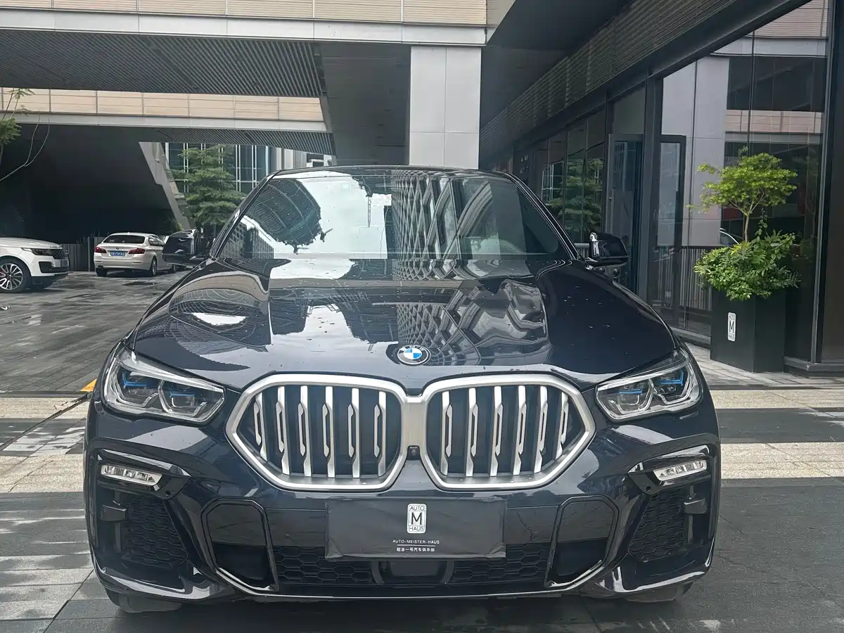BMW X6 2021 Facelift xDrive40i Premium M Sport Package фото 2