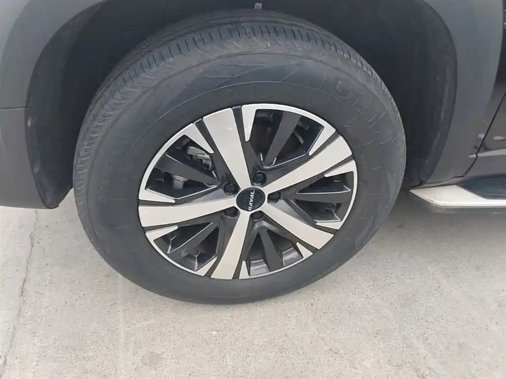 Haval Big Dog 2022 1.5T DCT FWD Labrador Edition фото 23