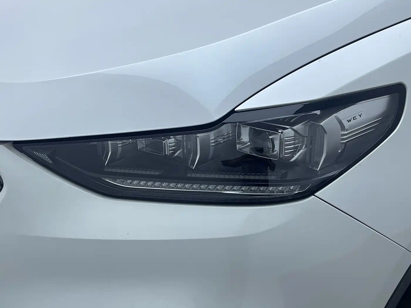 WEI PAI WEI BRAND VV6