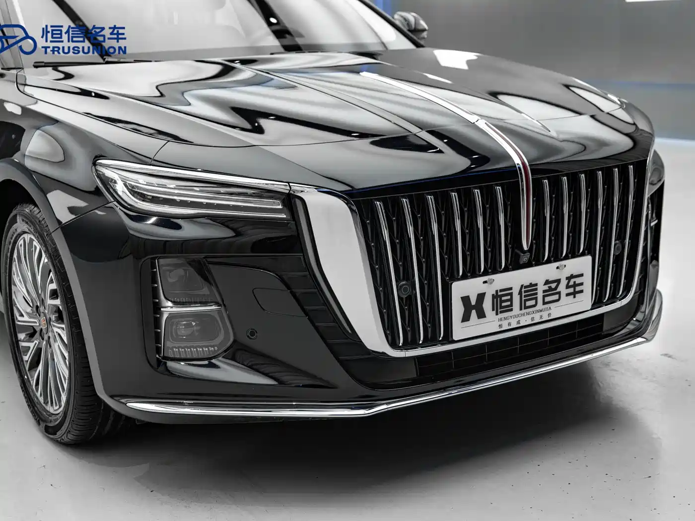 Hongqi H5 2023 2.0T Auto Smart Connect Flag Comfort фото 9
