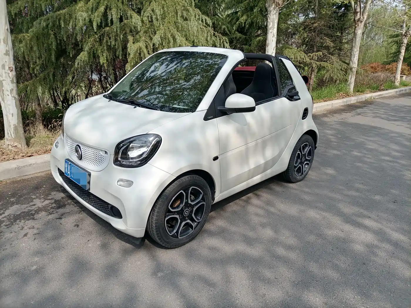 smart fortwo 2019 2018 1.0L 52kW Convertible Passion Edition China V
