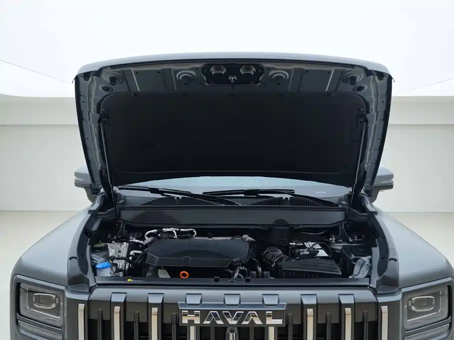 Haval Menglong 2025 2.0T 4WD Pro фото 6