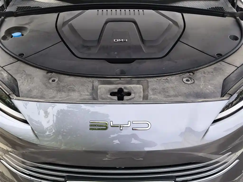 BYD Song PLUS PHEV 2024 Glory Edition DM-i 71km Luxury фото 11