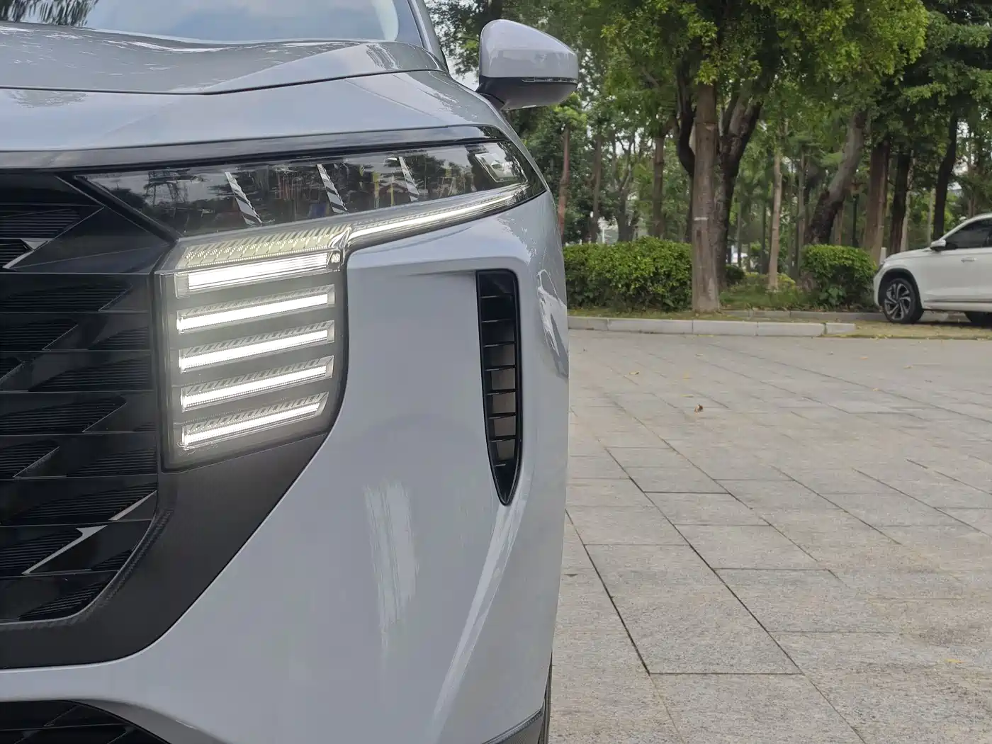 Venucia Big V 2022 2022 260T Dark Horse Edition·Idol