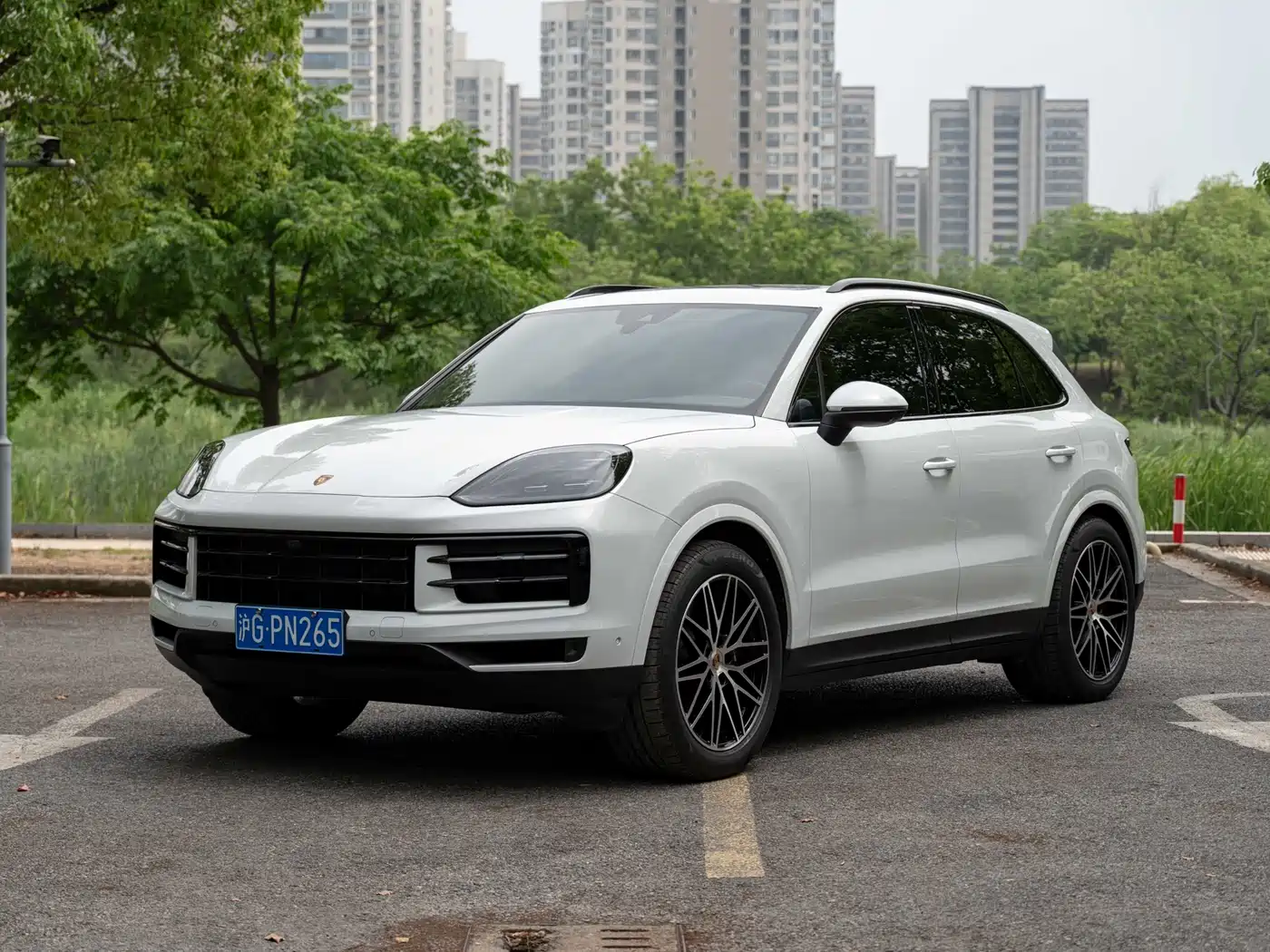 Porsche Cayenne 2025 Cayenne 3.0T Dream Chaser Edition