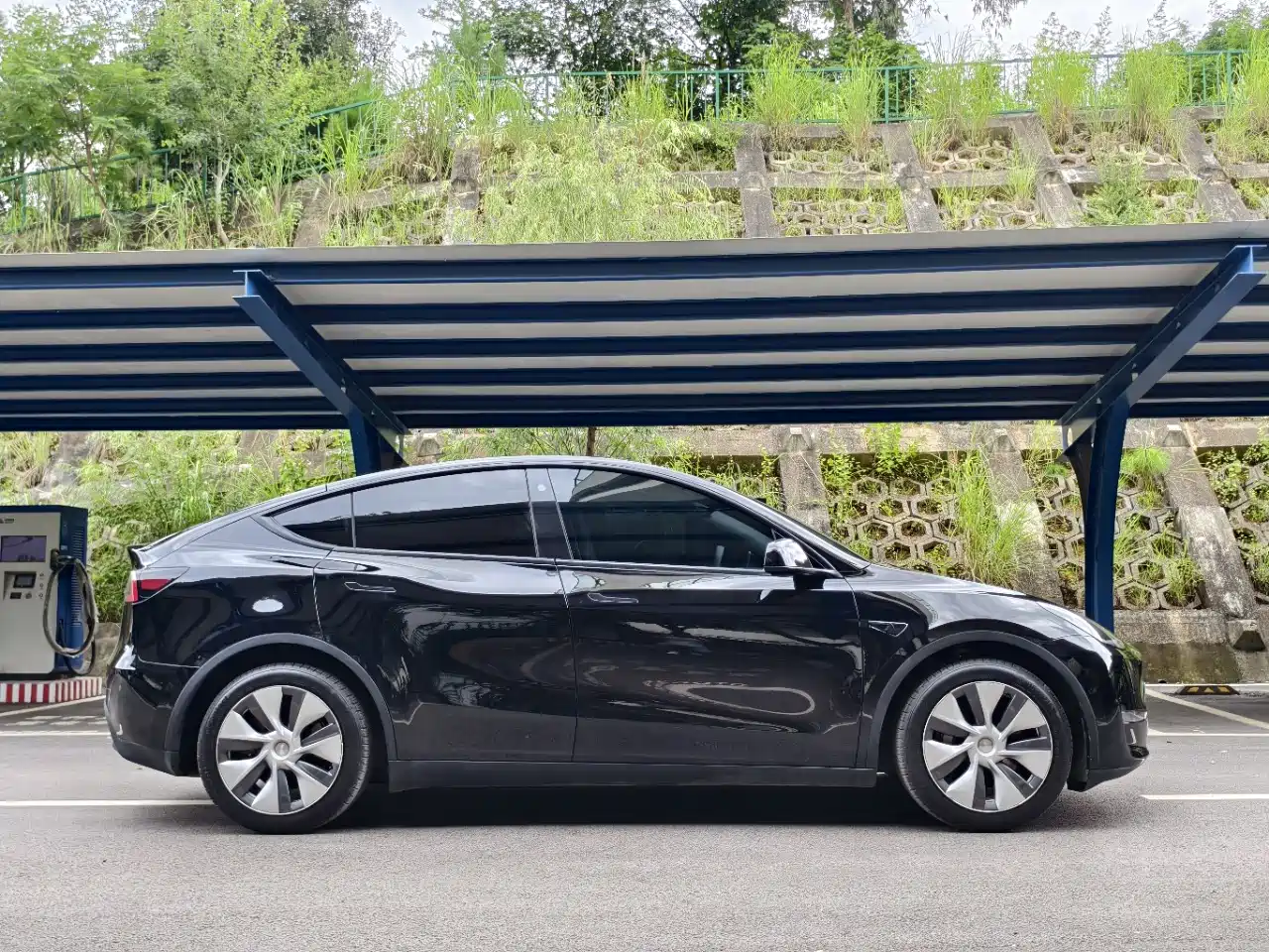 Фото 4 - Tesla Model Y
