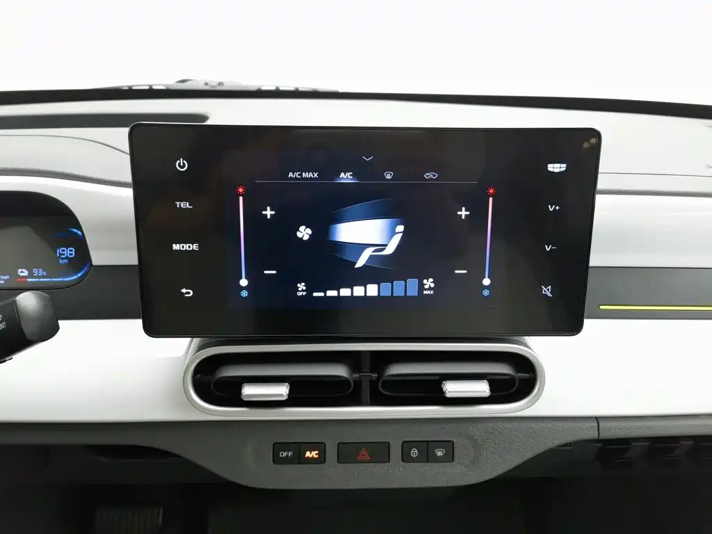 Geely Galaxy Panda 2026 2025 Panda mini 210km Vitality Bear